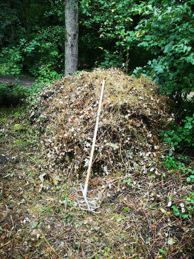 Zugepackt! Pflegearbeiten im Naturschutzgebiet Buechloch