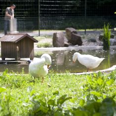 Tierpark