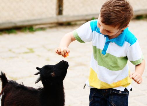 Im spielerischen Umgang lernen Kinder die Sprache. Foto: Adobe Stock