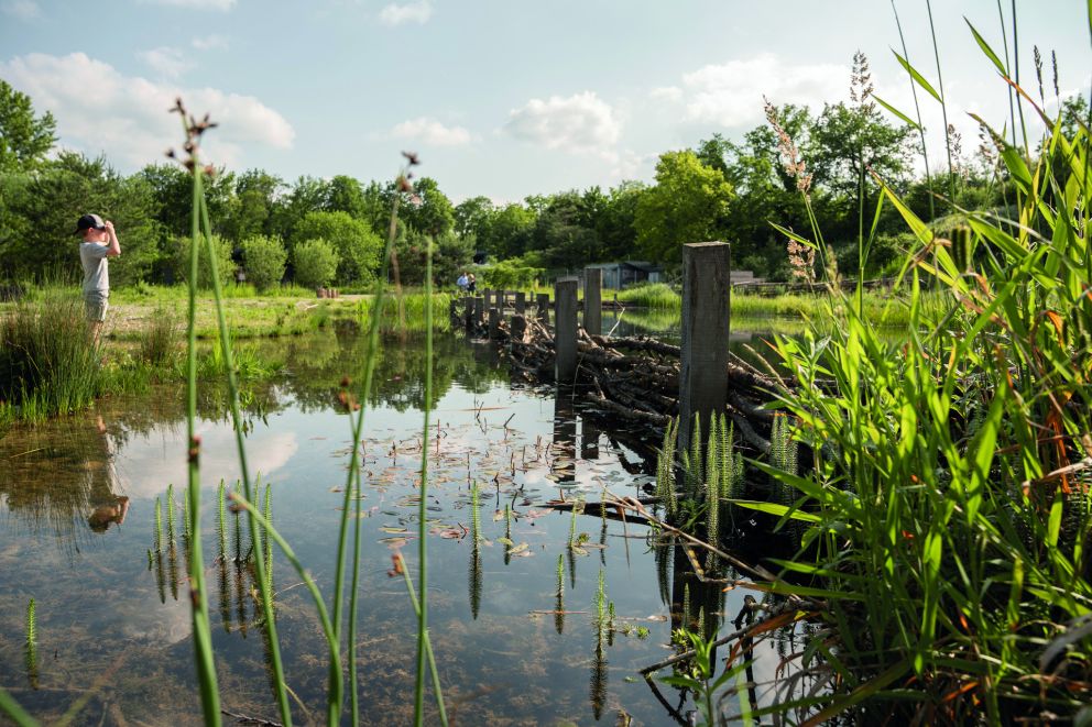 Weiher 2024. Foto: Stefanie Würsch